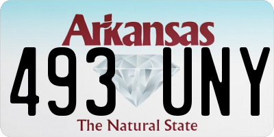 AR license plate 493UNY