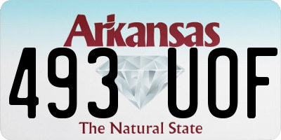 AR license plate 493UOF