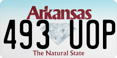 AR license plate 493UOP