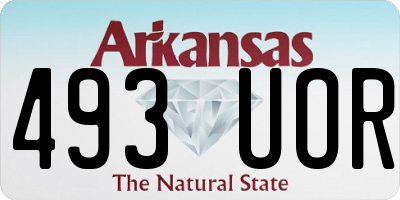 AR license plate 493UOR