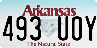 AR license plate 493UOY