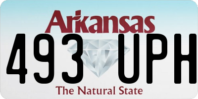 AR license plate 493UPH