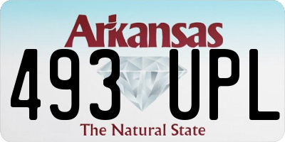AR license plate 493UPL