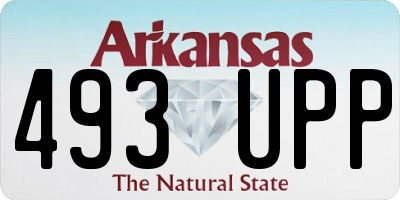 AR license plate 493UPP