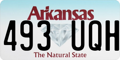 AR license plate 493UQH