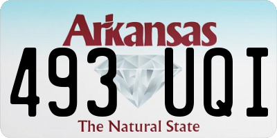 AR license plate 493UQI
