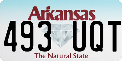 AR license plate 493UQT