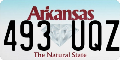 AR license plate 493UQZ