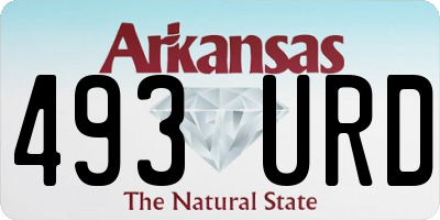AR license plate 493URD