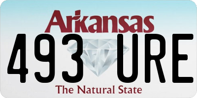 AR license plate 493URE