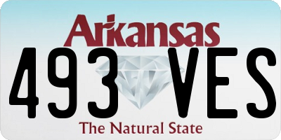 AR license plate 493VES