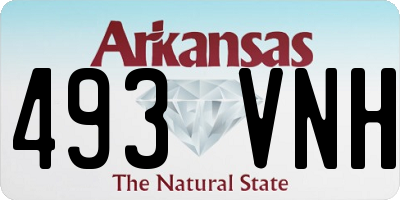 AR license plate 493VNH