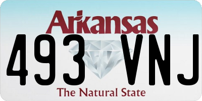 AR license plate 493VNJ