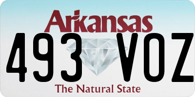AR license plate 493VOZ