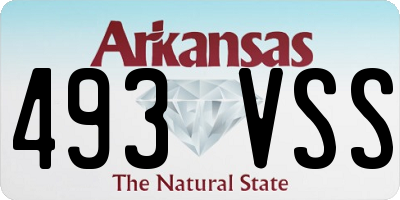 AR license plate 493VSS
