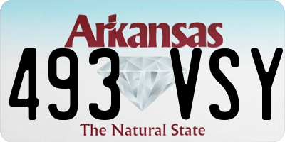 AR license plate 493VSY