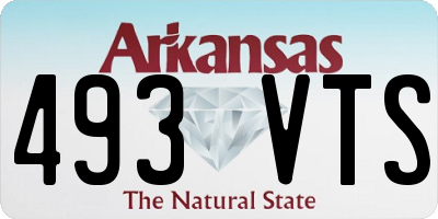 AR license plate 493VTS