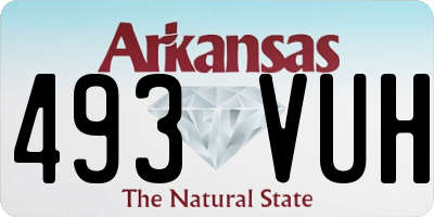 AR license plate 493VUH