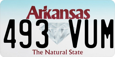 AR license plate 493VUM