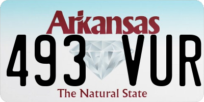 AR license plate 493VUR