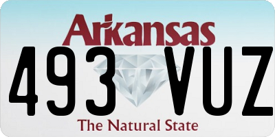 AR license plate 493VUZ