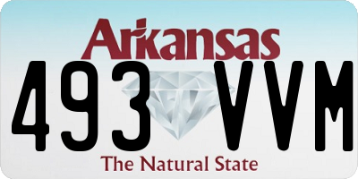 AR license plate 493VVM