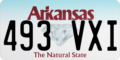 AR license plate 493VXI
