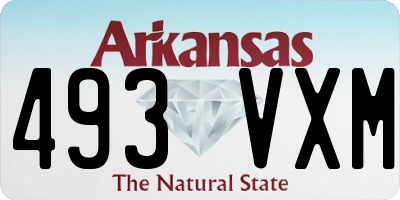 AR license plate 493VXM