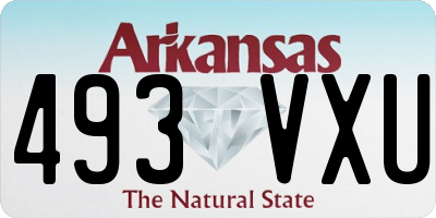 AR license plate 493VXU