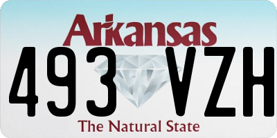 AR license plate 493VZH