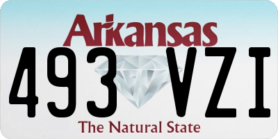 AR license plate 493VZI