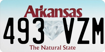 AR license plate 493VZM