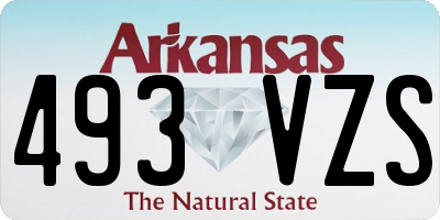 AR license plate 493VZS