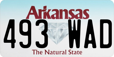 AR license plate 493WAD