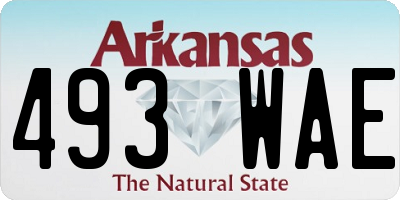 AR license plate 493WAE