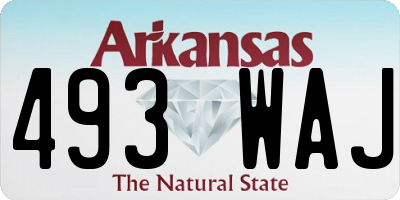 AR license plate 493WAJ