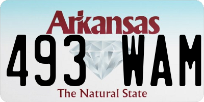 AR license plate 493WAM
