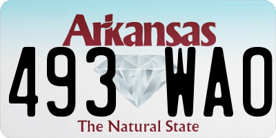 AR license plate 493WAO