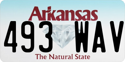 AR license plate 493WAV