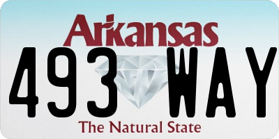 AR license plate 493WAY