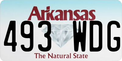 AR license plate 493WDG