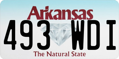 AR license plate 493WDI