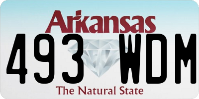 AR license plate 493WDM