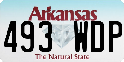 AR license plate 493WDP