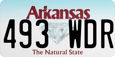AR license plate 493WDR