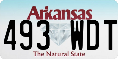 AR license plate 493WDT