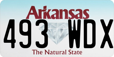 AR license plate 493WDX