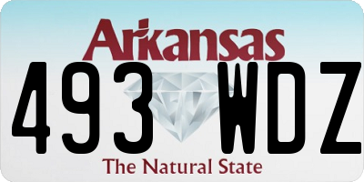 AR license plate 493WDZ
