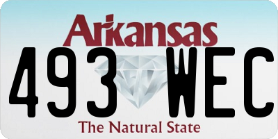 AR license plate 493WEC