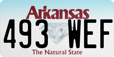 AR license plate 493WEF